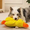 Calming Duck Toy