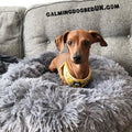 Calming Dog Bed UK | Anti Anxiety Dog Bed
